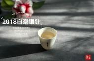 白茶爱好者福音：4个存白毫银针的细节，不走弯路，轻松收获好茶