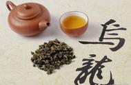 乌龙茶的知识探索：你都了解吗？