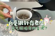 茶叶收藏的魅力：如何挑选越存越“有价值”的白毫银针？