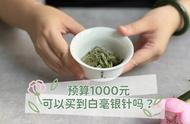 1000元内白茶首选：白毫银针还是白牡丹？