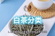 白茶知识学习：系统掌握白茶的多种类型