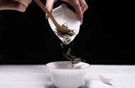 黄茶百科：小仙女带你全面了解黄茶的种类、产地与制作工艺