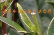 福鼎白茶的白毫能否食用？它是什么成分？对茶叶的口感、颜色和香气有何影响？