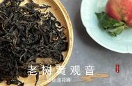 武夷岩茶黄观音与老树茶，为何你需要体验两种？