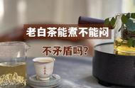 为什么老白茶可以煮却不能闷？揭开3个真相，让你不再犯错！