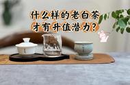 老白茶收藏不再迷茫：三个标准助你轻松选出升值潜力股