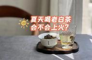 夏天喝老白茶，是否会引发身体不适？