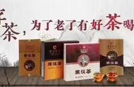 你知道中国黑茶之茯砖茶收藏的五个关键窍门吗？