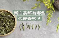 新白茶的三大香型详细盘点，看完再尝，你敢接受挑战吗？