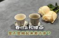 春白茶和绿茶：四点区分要点，让你不再混淆