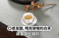 白茶口感酸涩，喝完后喉咙不适，听村姑陈的建议，有这些状况的白茶别再喝了