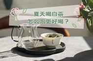 夏天喝白茶，谨记“4个提示”，让你的茶道更完美