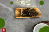 武夷岩茶中的白鸡冠：无味而至大味，清新之选