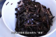 茶叶知识宝典：乌龙茶产地划分指南