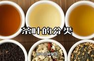 陈宗懋茶叶讲座：茶叶分类的详细解读