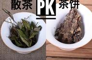 茶饼和散茶，哪个更适合送礼？对比实验揭晓答案！