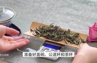 泡茶、煮茶、蒸茶，哪种方式能让你在冬天更好地享受白茶的滋味？