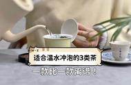 泡茶水温小知识：5分钟带你了解温水与沸水的不同之处